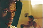 The Fight